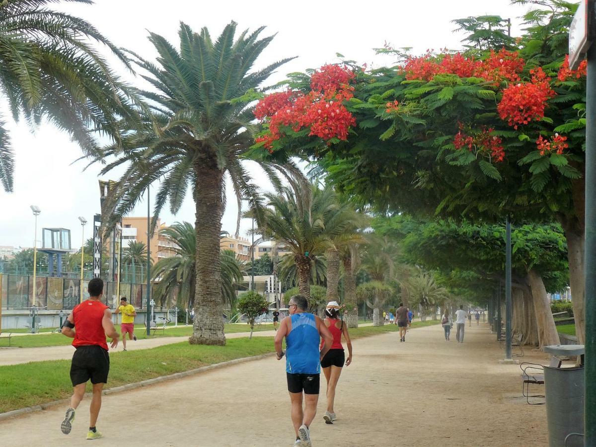 Casa Cafer Leilighet Las Palmas de Gran Canaria Eksteriør bilde